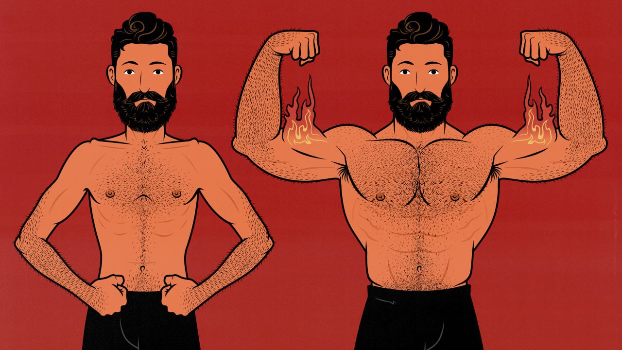 Building Muscle: A Beginner's Guide to Hypertrophy