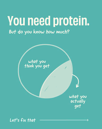 Protein: What You Really Need to Know